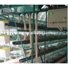 High Quality Cages For Chicken Shed